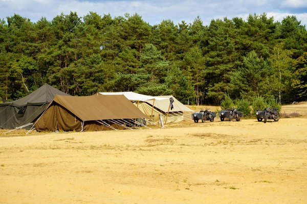 Discover England"s Castles Where You Can Experience Thrilling Falconry Displays